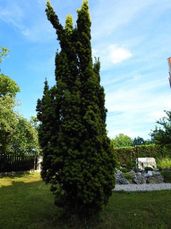 Sweet Dreams Apartment Varazdin Exterior photo
